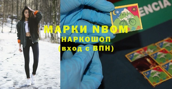 ГАЛЛЮЦИНОГЕННЫЕ ГРИБЫ Карталы