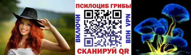 Псилоцибиновые грибы мухоморы  Купить закладки  Буйнакск 